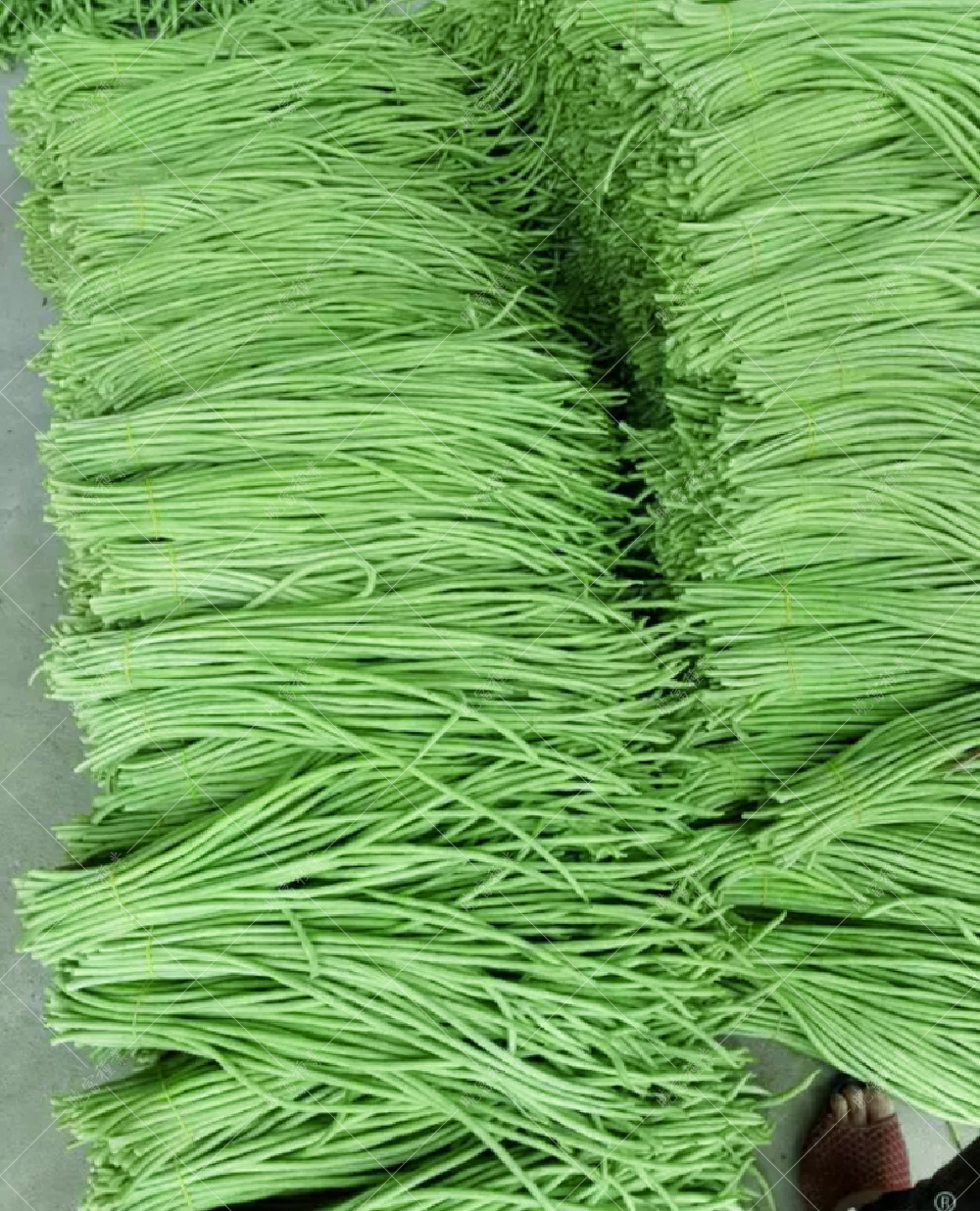 1557901294511538.jpg 11.jpg